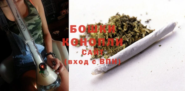 сатива Зеленодольск