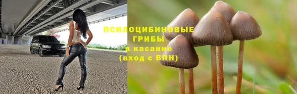 СК Зерноград