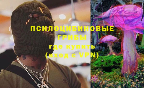 сатива Зеленодольск