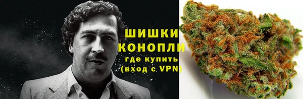 сатива Зеленодольск