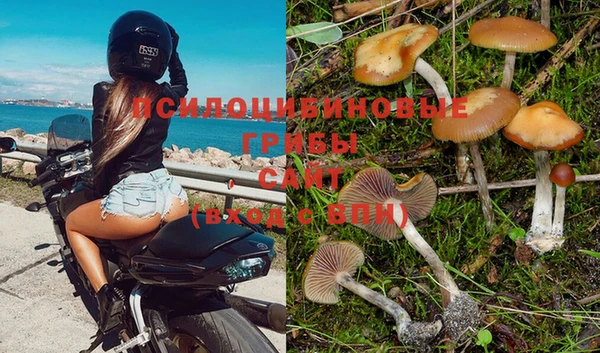 марки lsd Зеленокумск